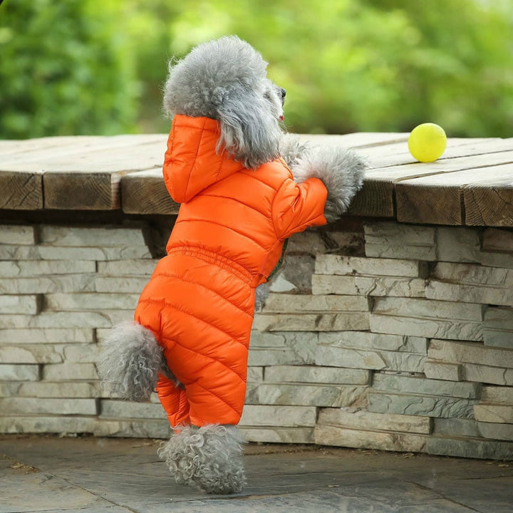 Winter Warm Dog Jacket