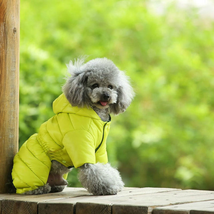 Winter Warm Dog Jacket