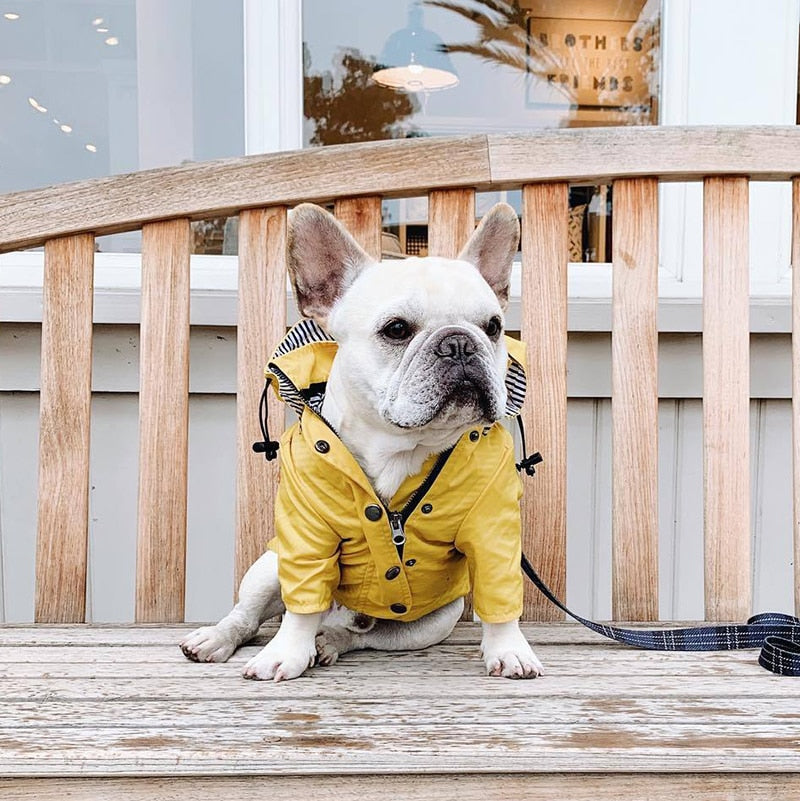 Outdoor Raincoat For Dogs