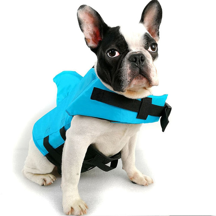 Dog Safety Vest