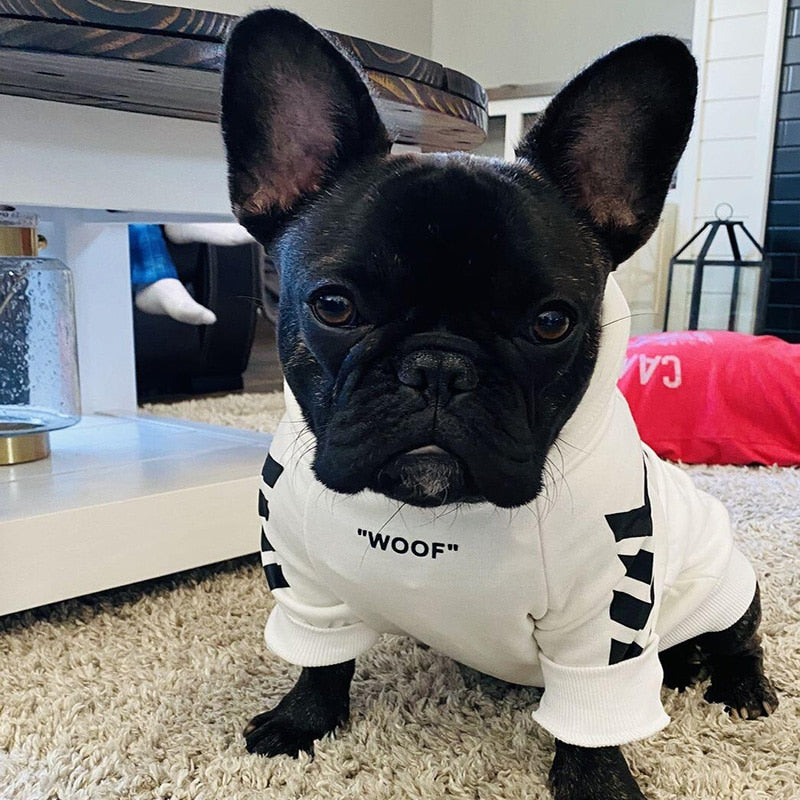 Winter Fashion Dog Hoodie