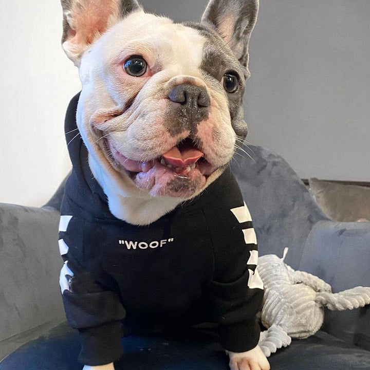 Winter Fashion Dog Hoodie