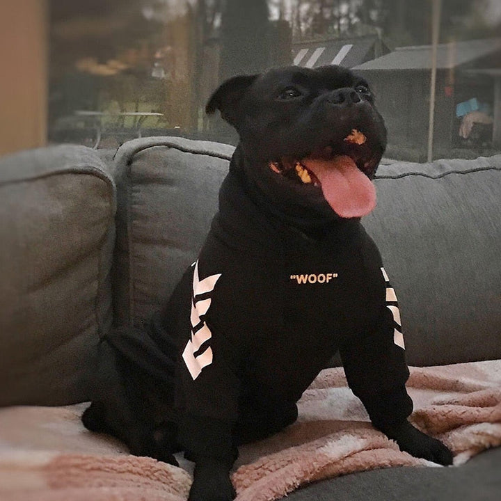 Winter Fashion Dog Hoodie