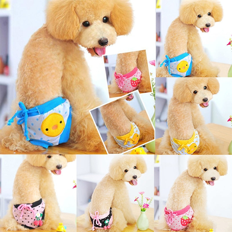 Dog Short Pants (Fruit Print)