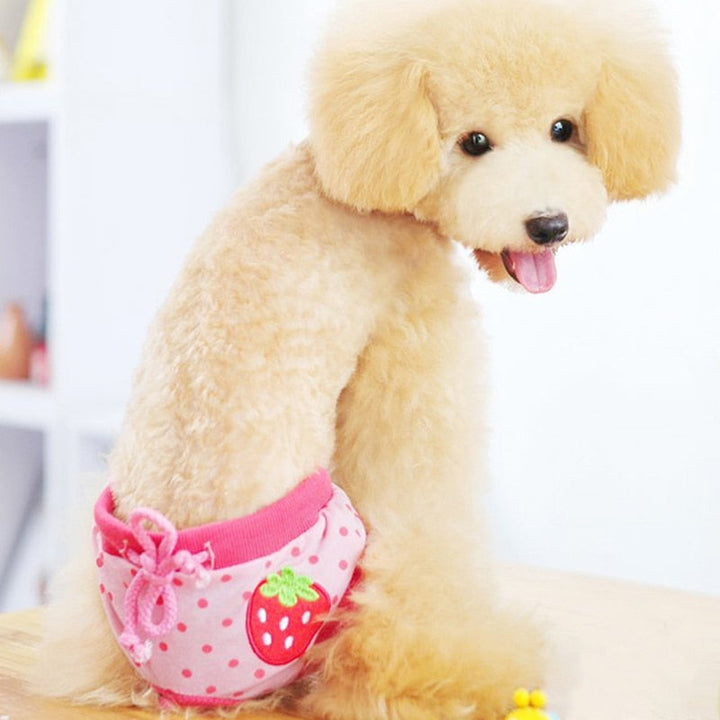 Dog Short Pants (Fruit Print)