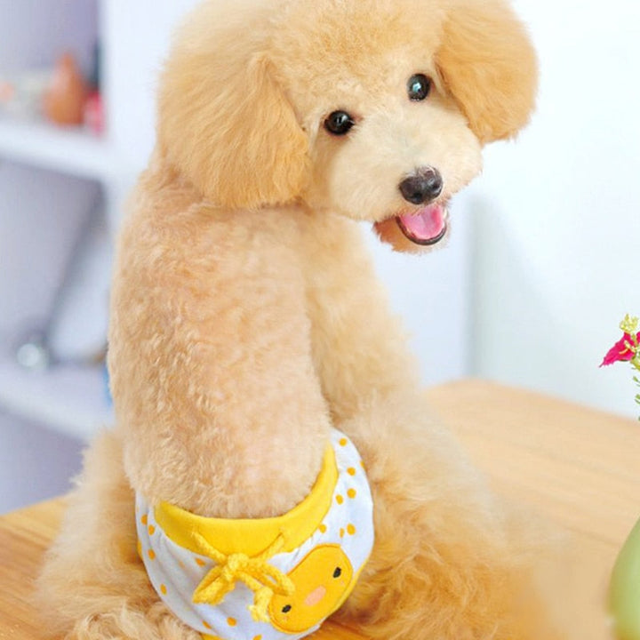 Dog Short Pants (Fruit Print)