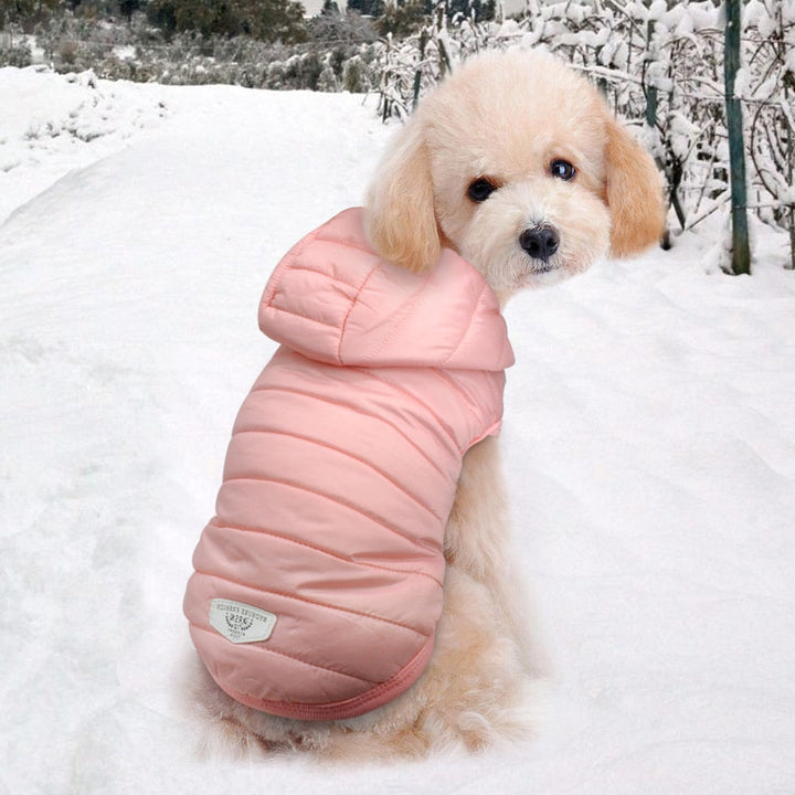 Waterproof Hooded Jacket For Dogs