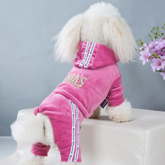 Fashion Letter Dog Clothes