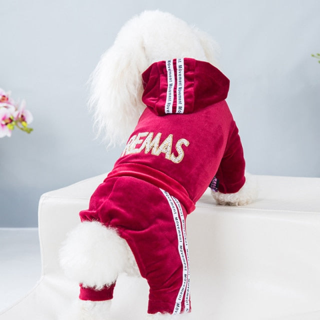 Fashion Letter Dog Clothes