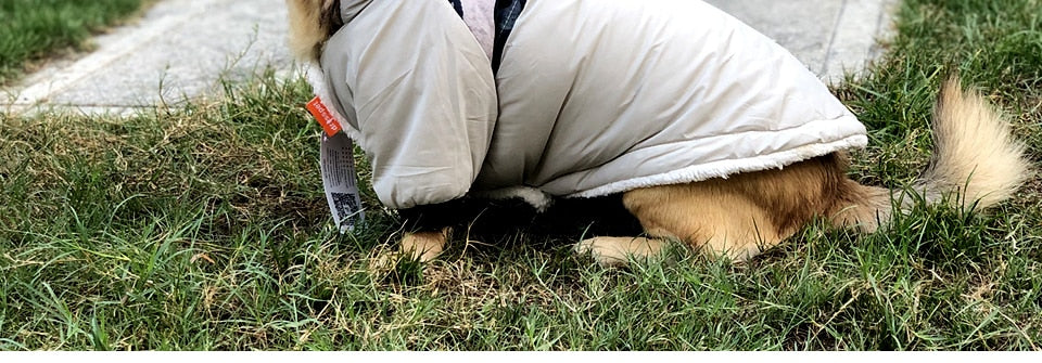 Winter Dog Costumes