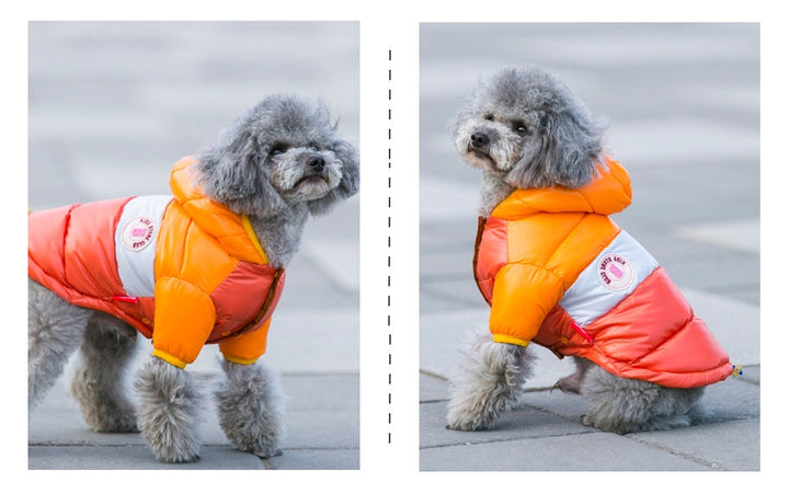 Waterproof Dog Jacket (Hoodie Style)