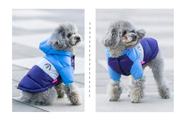 Waterproof Dog Jacket (Hoodie Style)