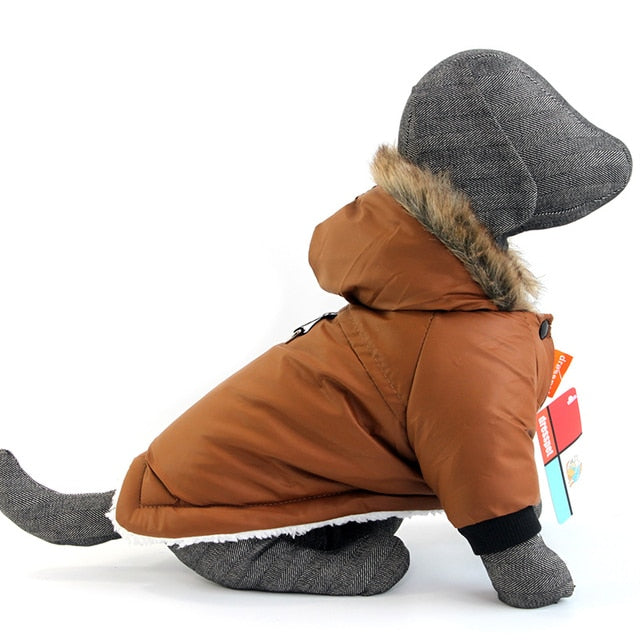 Winter Dog Costumes