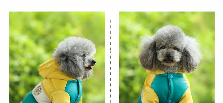 Waterproof Dog Jacket (Hoodie Style)