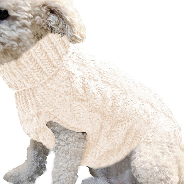 Elegant Puppy Sweater