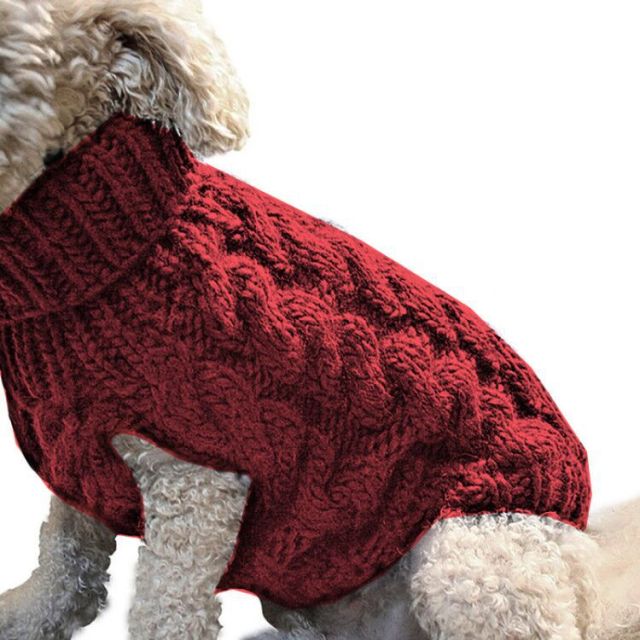 Elegant Puppy Sweater