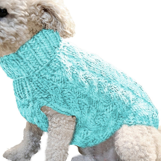 Elegant Puppy Sweater