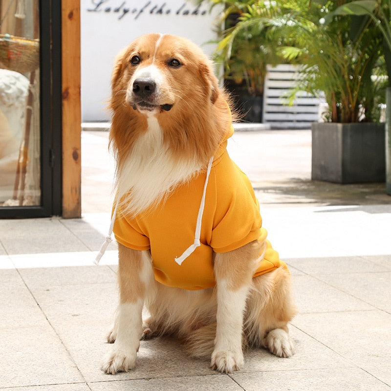 Dog Hoodie with Zipper For Winters