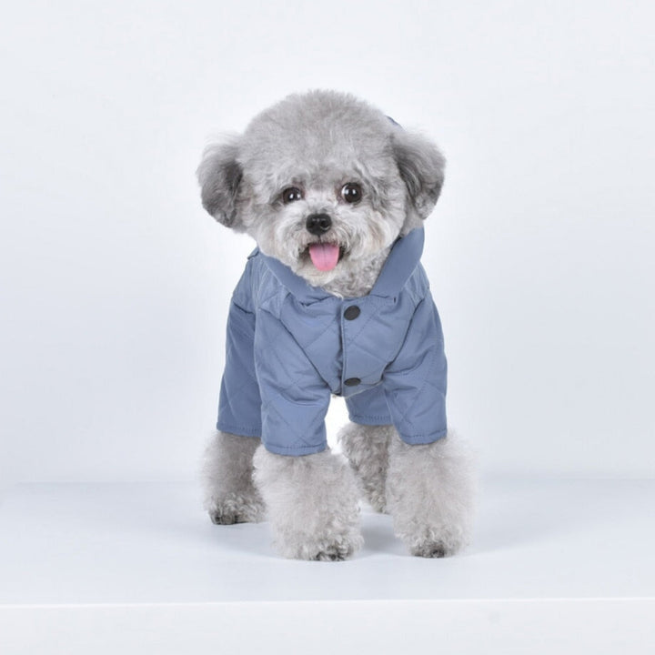 Dog Rain Coat