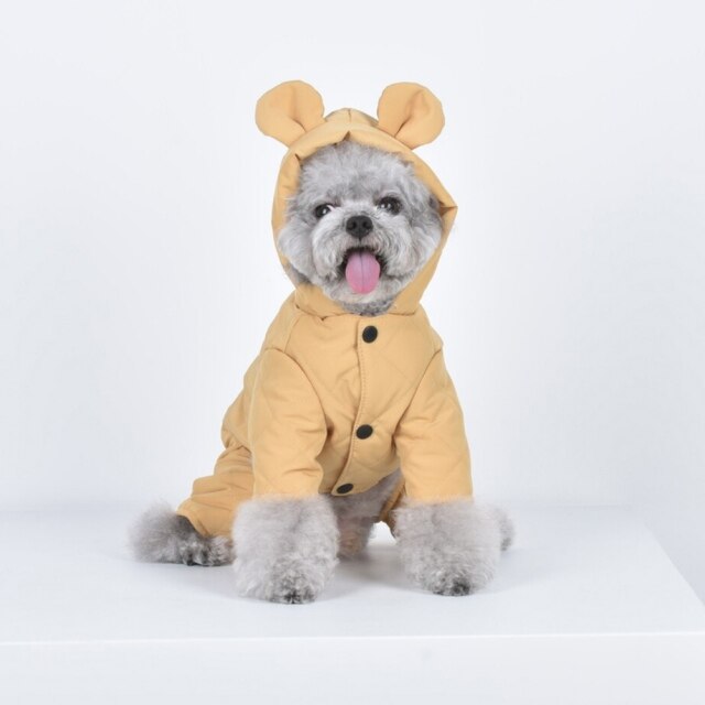 Dog Rain Coat