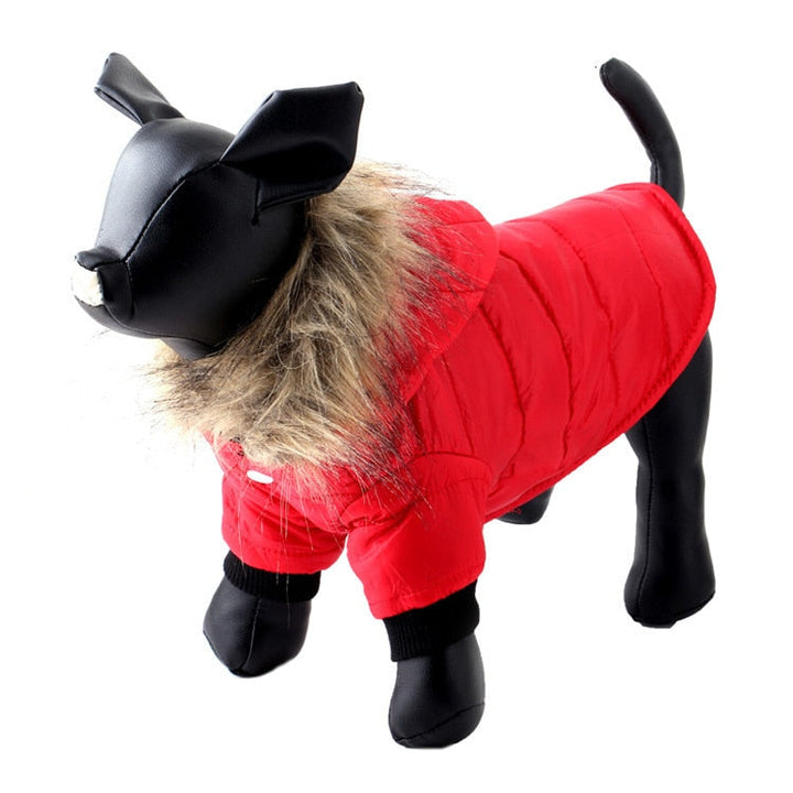 Warm Outfits For Dogs