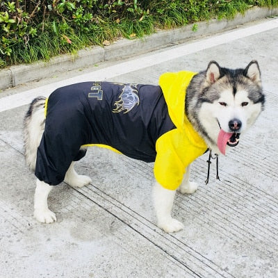 Matching Dog Raincoat