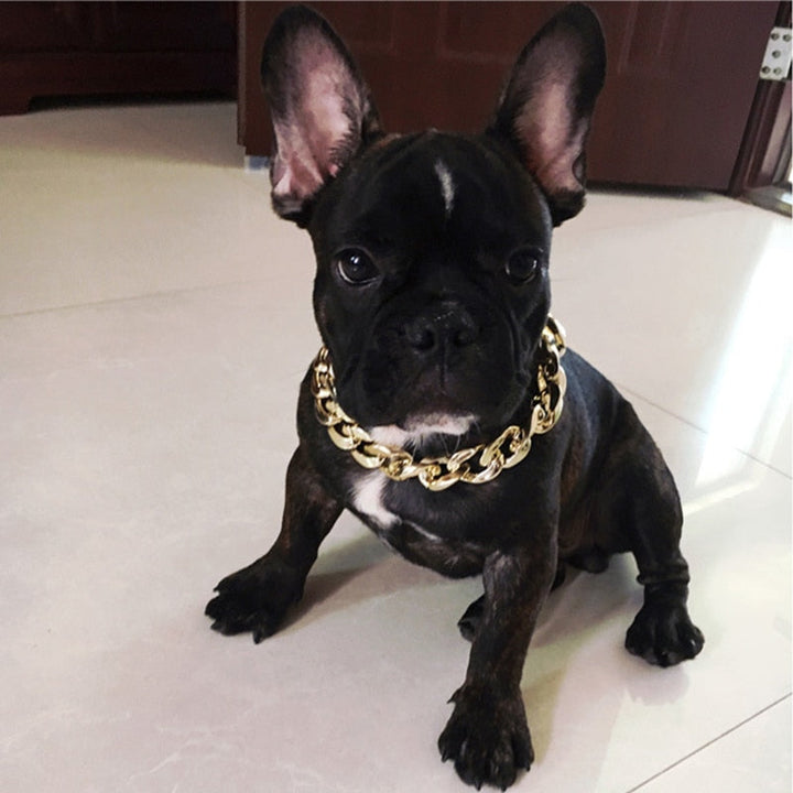 Gold Dog Chain