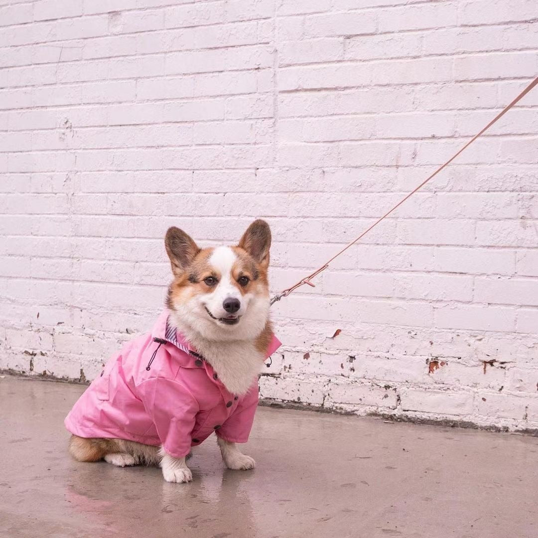 Outdoor Raincoat For Dogs