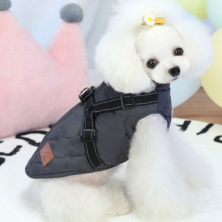 Warm Dog Harness For Winters