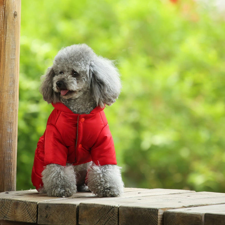 Winter Warm Dog Jacket