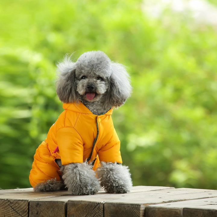 Winter Warm Dog Jacket