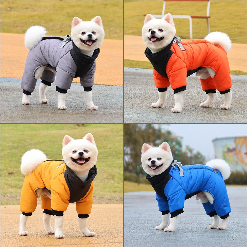 Warm Dog Jacket For Winters