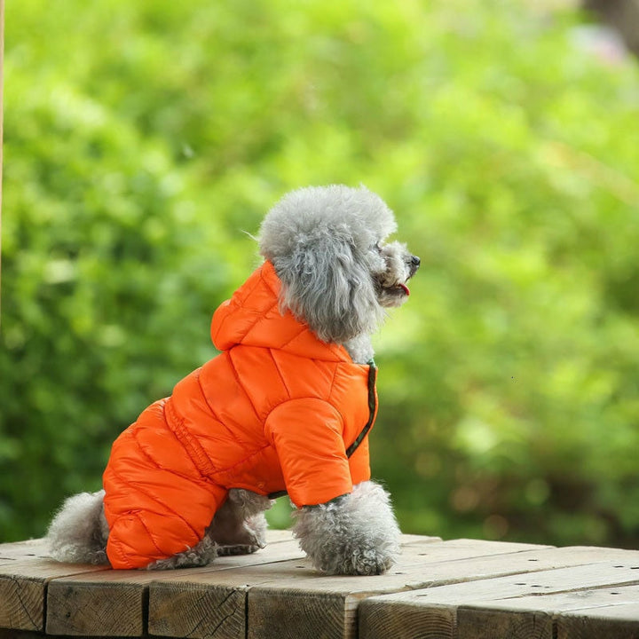 Winter Warm Dog Jacket