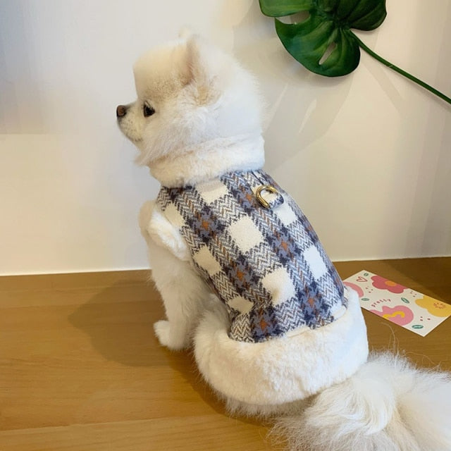 Kawaii Winter Coat For Dog