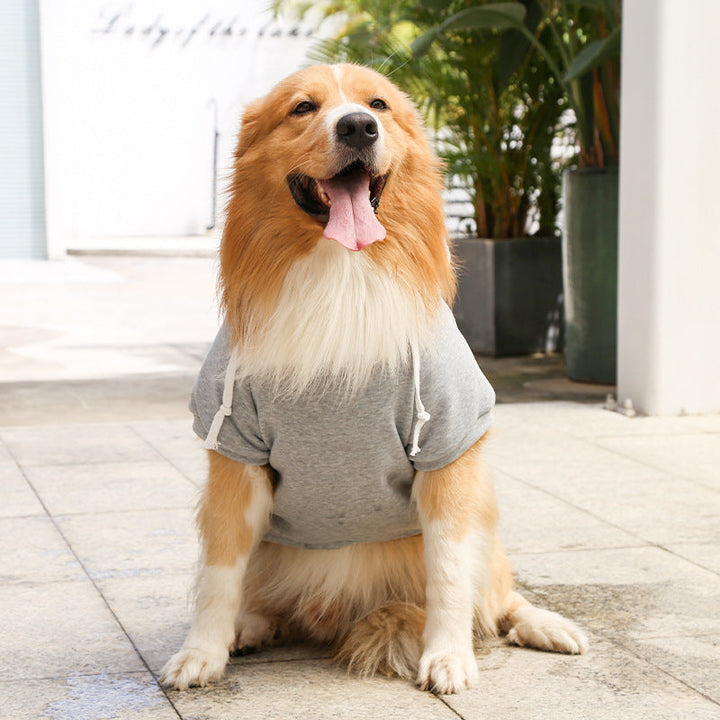 Dog Hoodie with Zipper For Winters