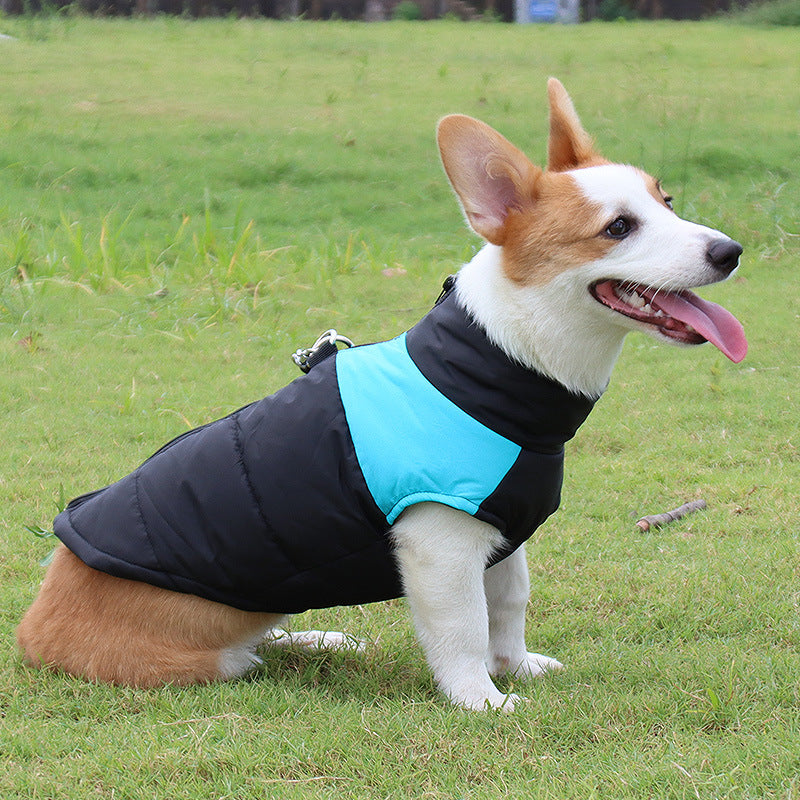 Warm & Waterproof Dog Vest