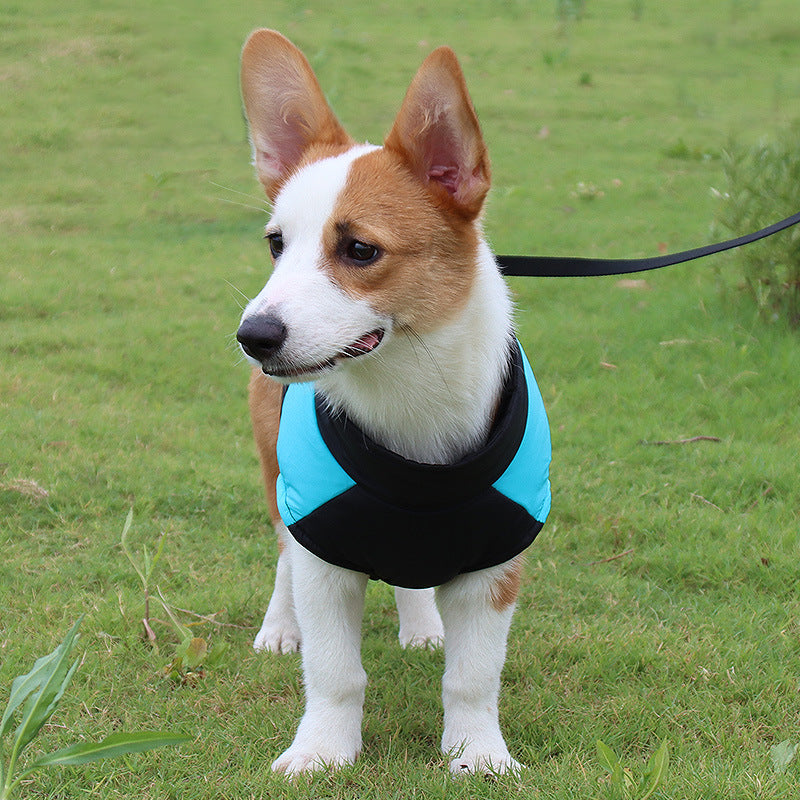 Warm & Waterproof Dog Vest