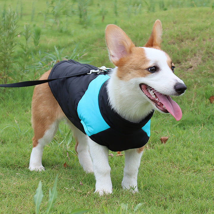 Warm & Waterproof Dog Vest