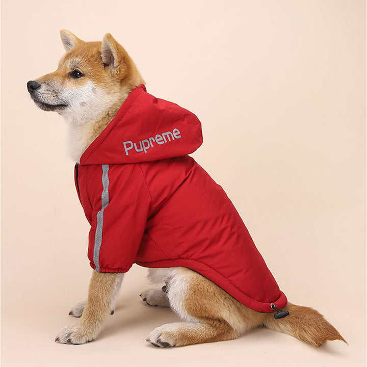 Windbreaker Dog Hoodie