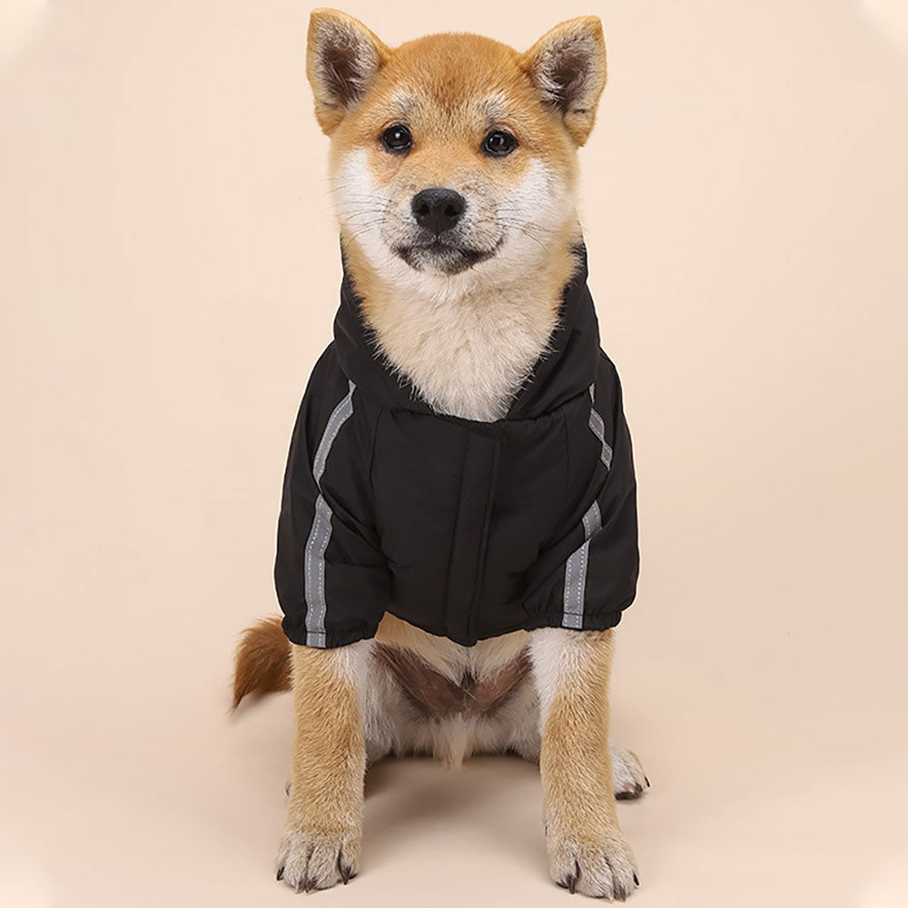 Windbreaker Dog Hoodie