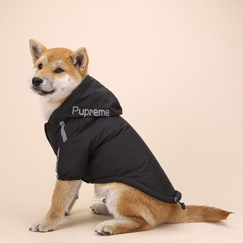 Windbreaker Dog Hoodie