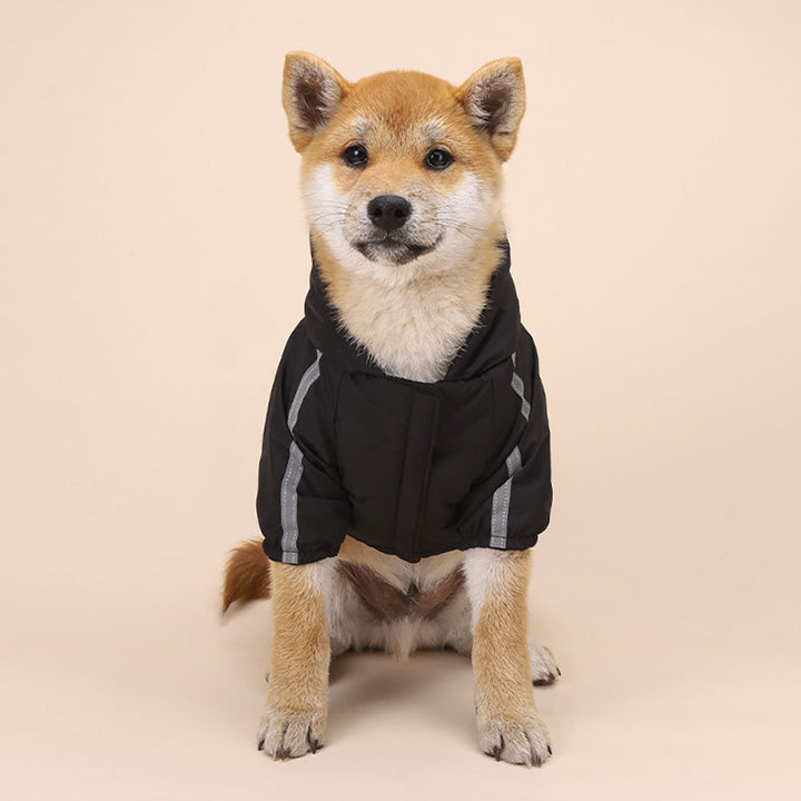 Windbreaker Dog Hoodie