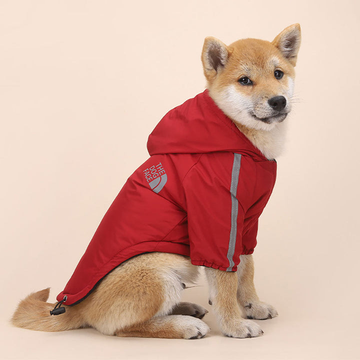 Windbreaker Dog Hoodie