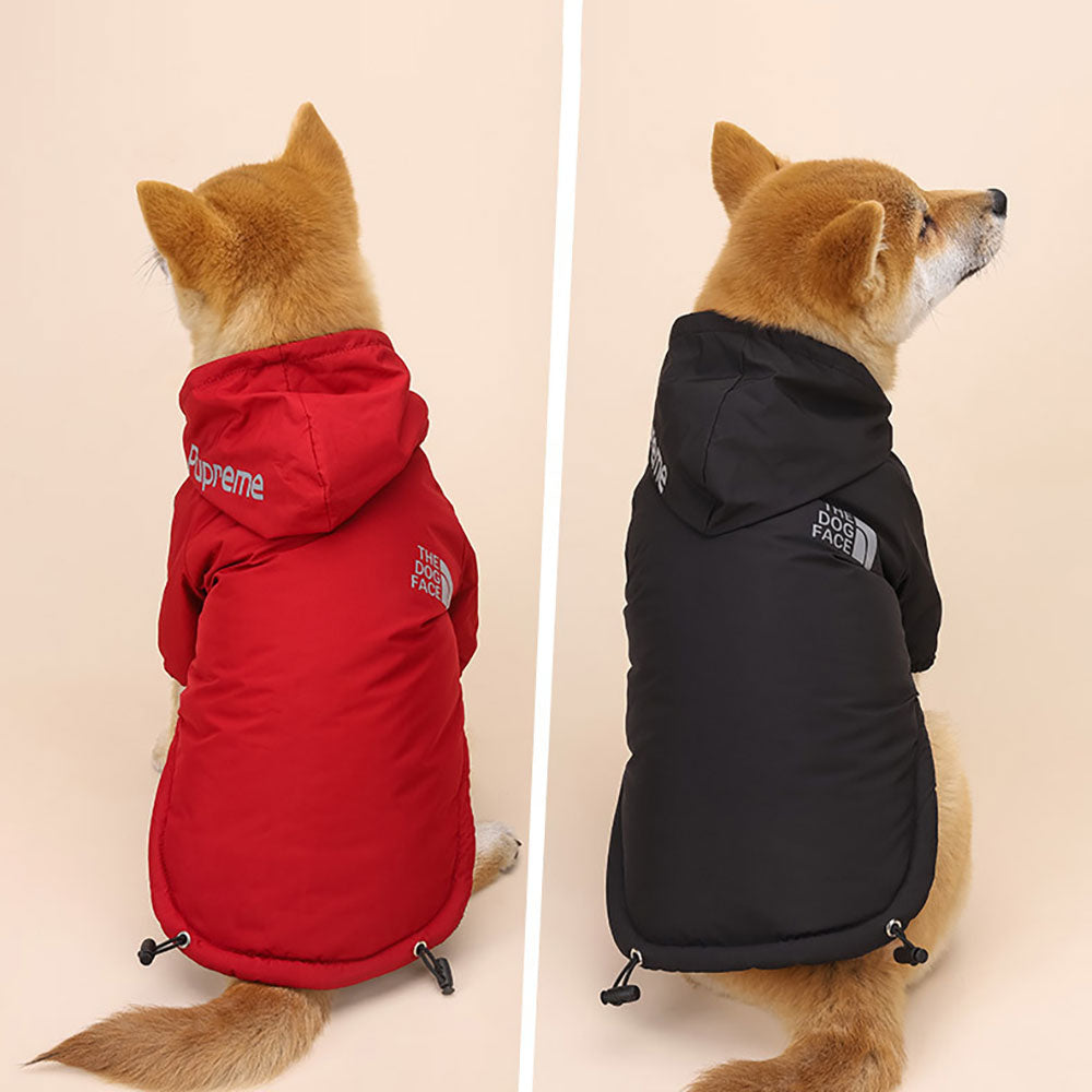 Windbreaker Dog Hoodie