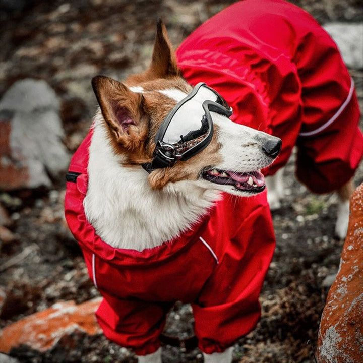 Waterproof Dog Raincoat