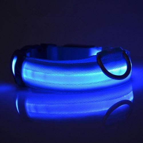 Glow Pet Collar